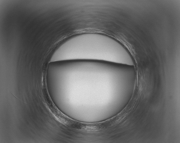 X0000084560157200702231011