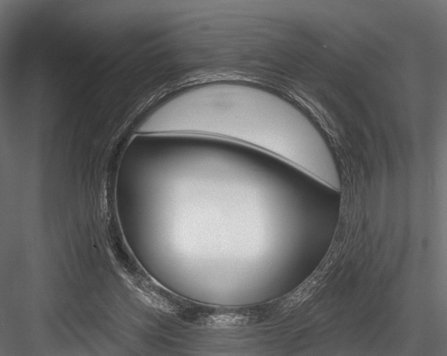 X0000084560158200702231011