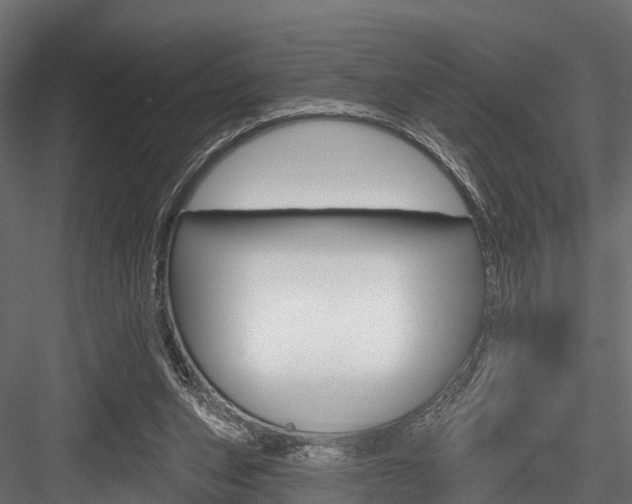 X0000084560159200702231011