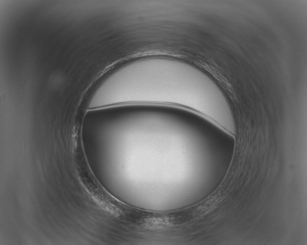X0000084560160200702231011