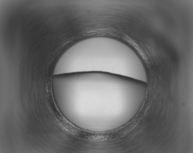 X0000084560161200702231011