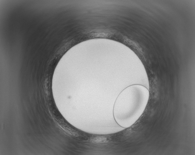 X0000084560162200702231011