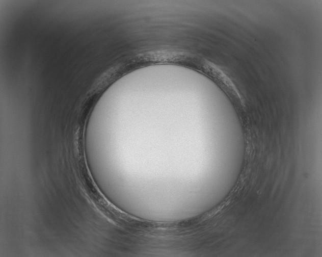 X0000084560163200702231011