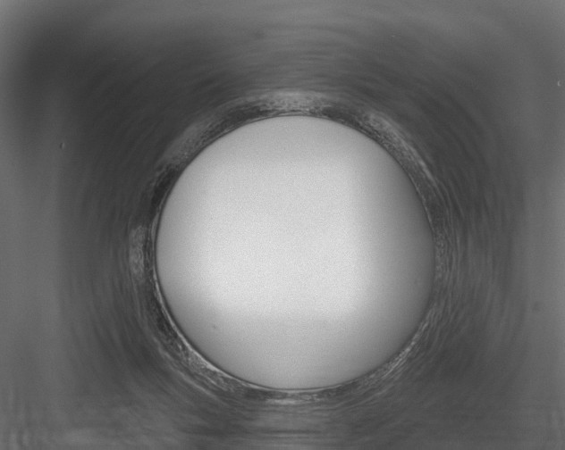 X0000084560167200702231011