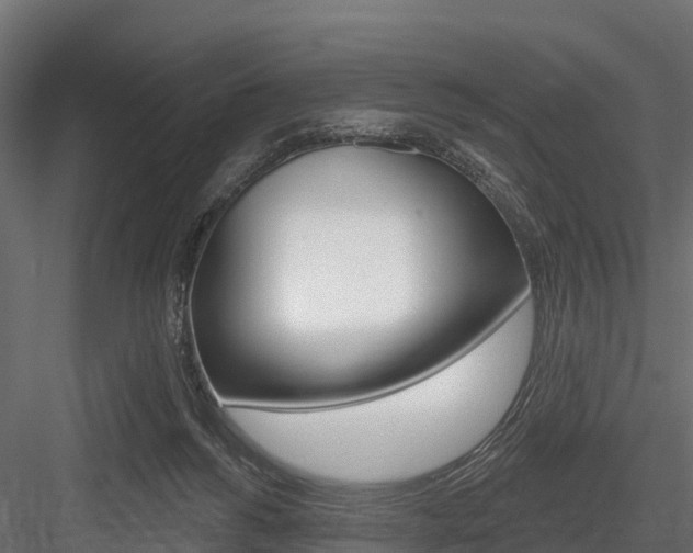 X0000084560168200702231011