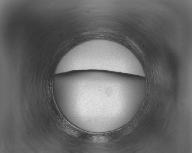 X0000084560169200702231011