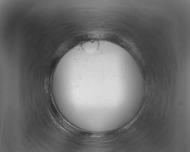 X0000084560171200702231011