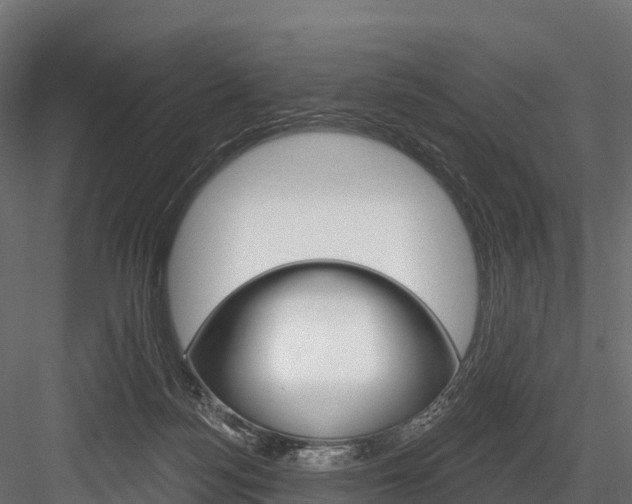 X0000084560172200702231011