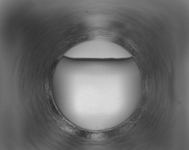 X0000084560173200702231011