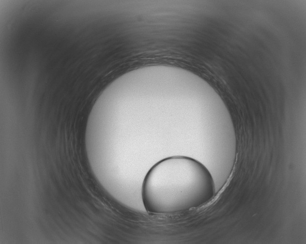 X0000084560174200702231011