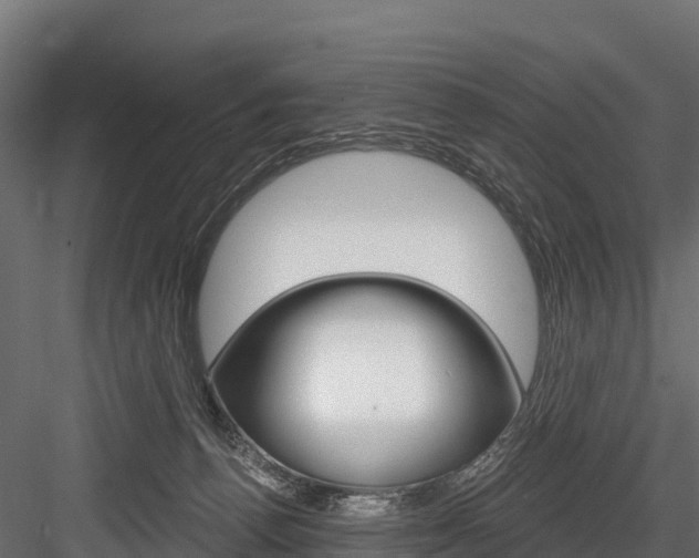 X0000084560176200702231011