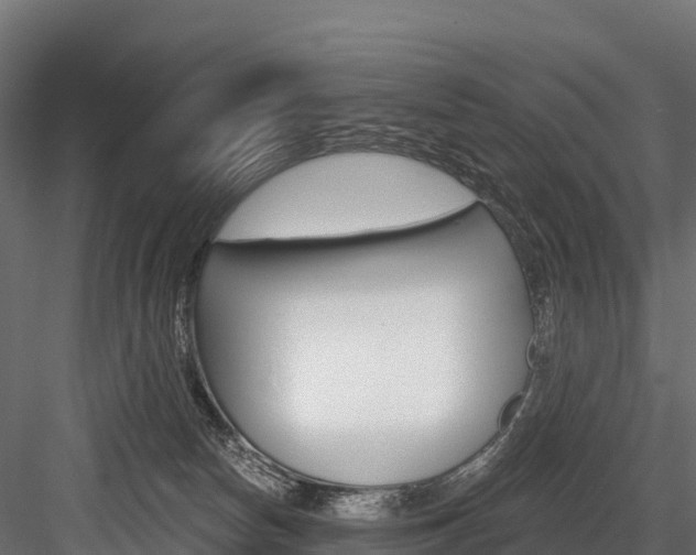 X0000084560178200702231011