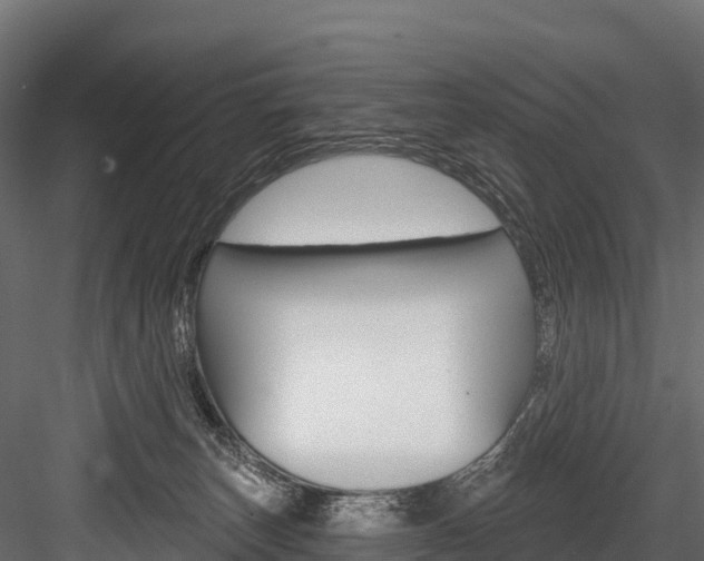 X0000084560179200702231011