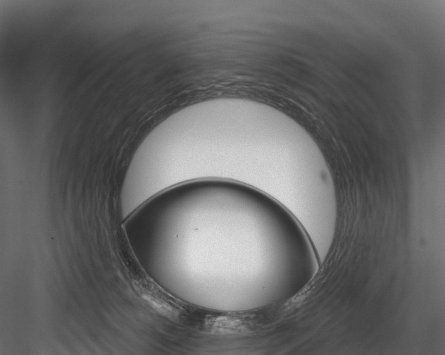 X0000084560180200702231011