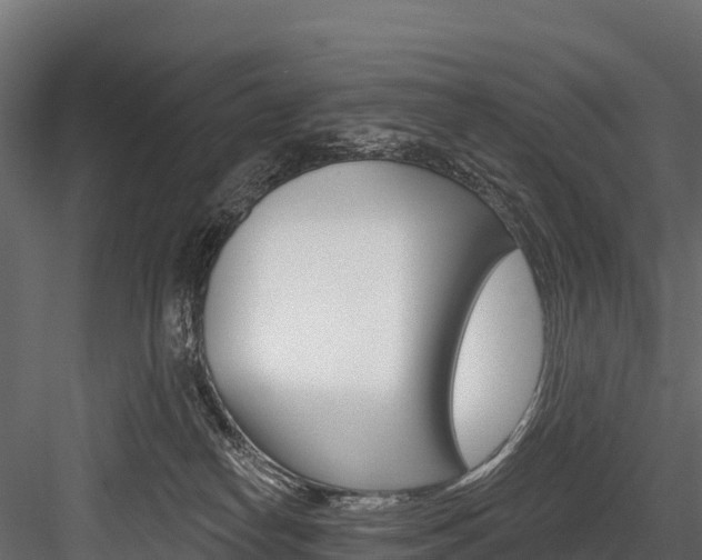 X0000084560182200702231011