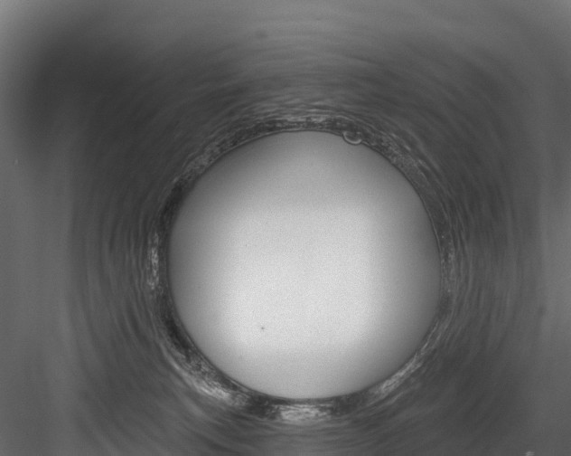 X0000084560183200702231011
