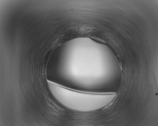 X0000084560184200702231011