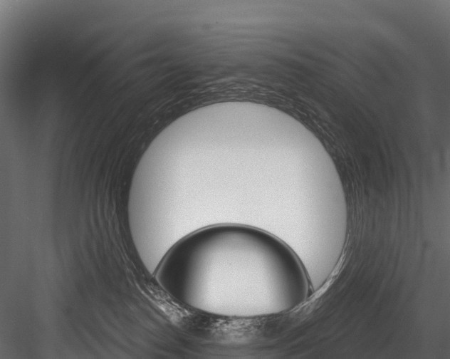 X0000084560186200702231011