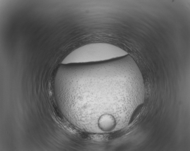 X0000084560187200702231011