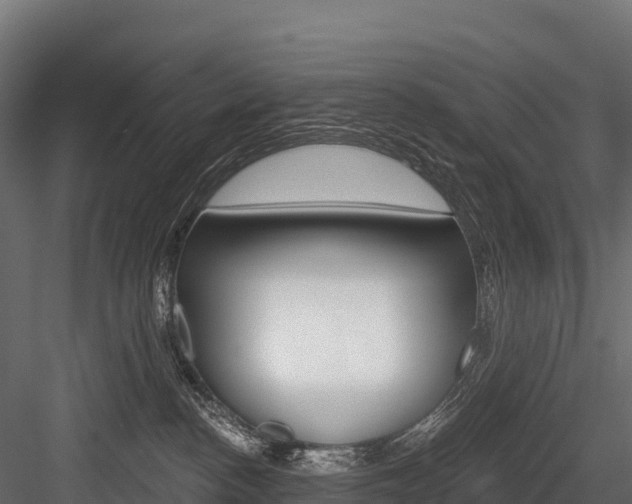 X0000084560188200702231011