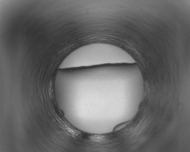 X0000084560189200702231011