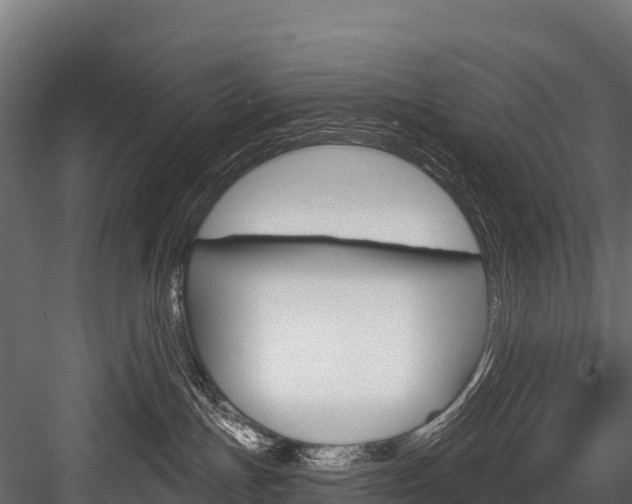 X0000084560191200702231011