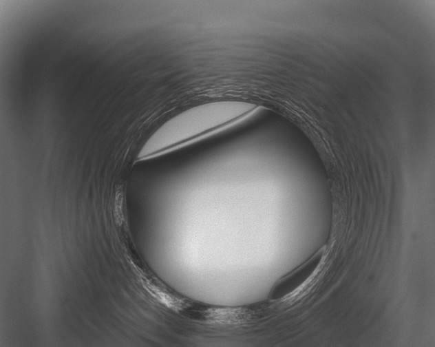 X0000084560192200702231011