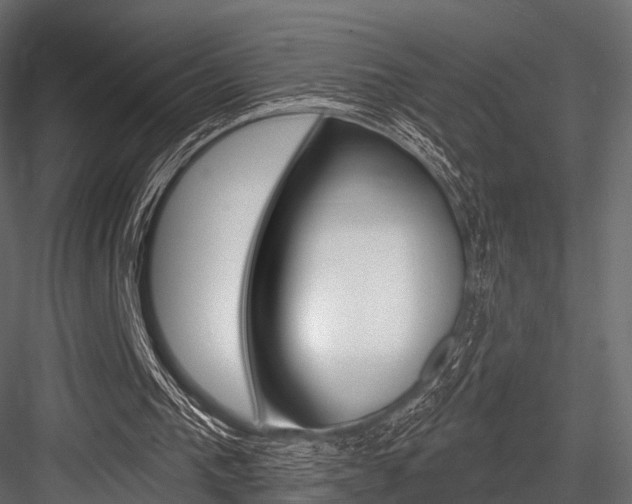 X0000084560193200702231010