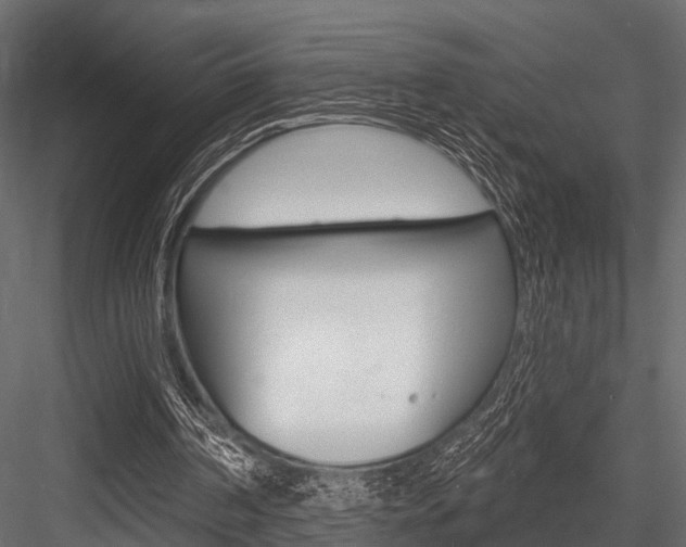 X0000084560194200702231010