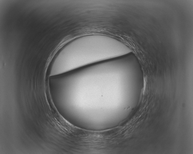 X0000084560195200702231010
