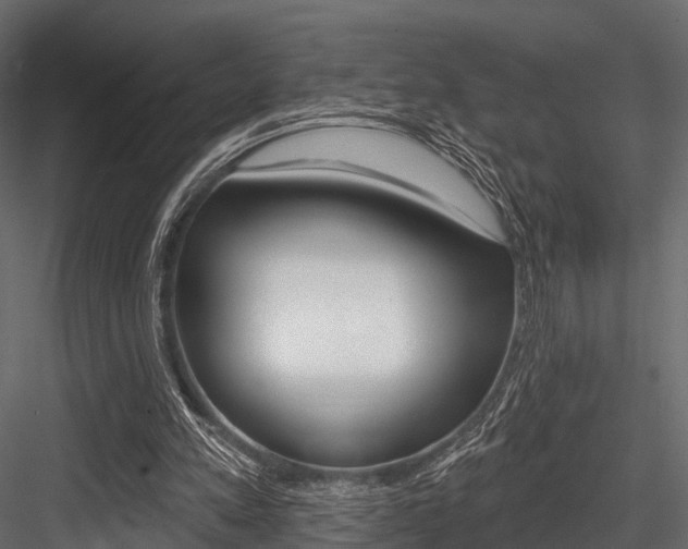 X0000084560197200702231010