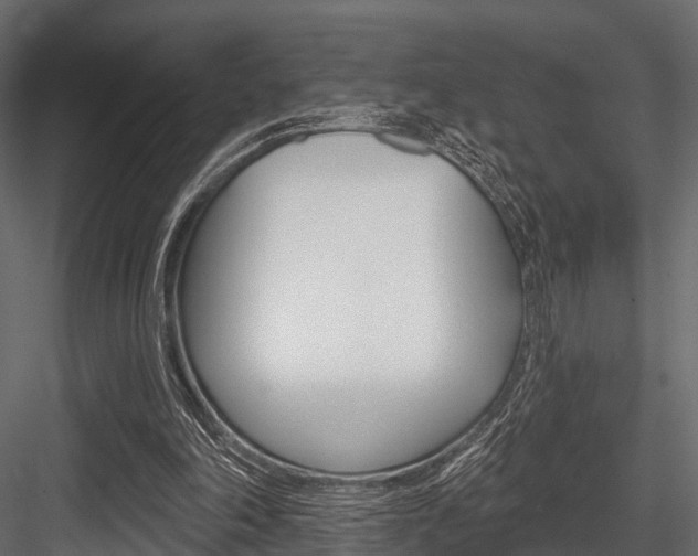 X0000084560198200702231010