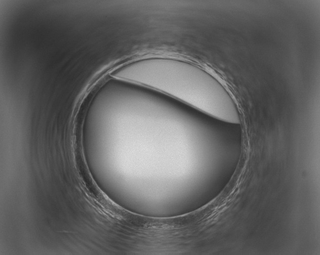 X0000084560199200702231010