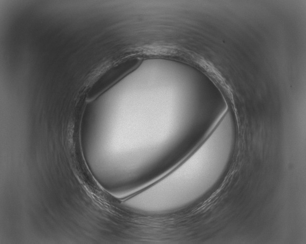 X0000084560201200702231010