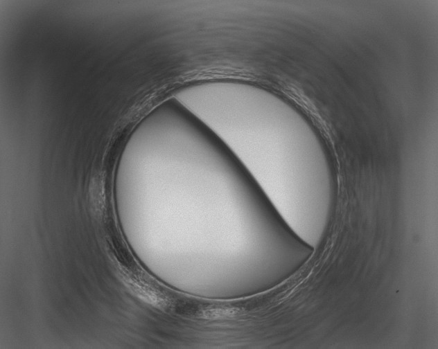 X0000084560202200702231010
