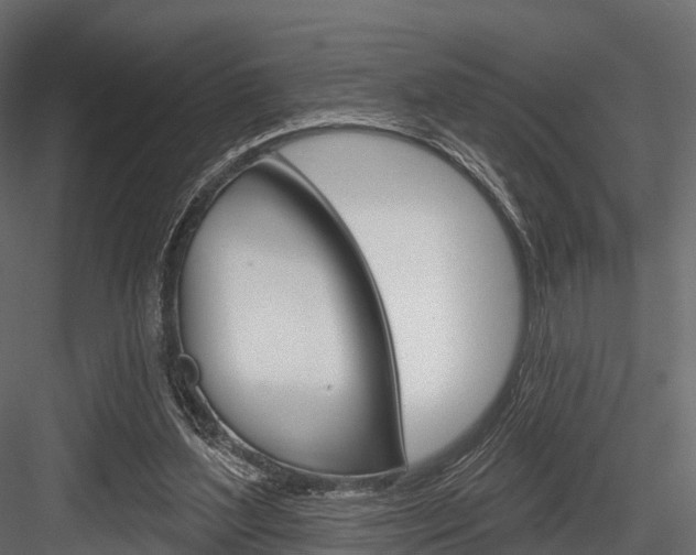 X0000084560204200702231010