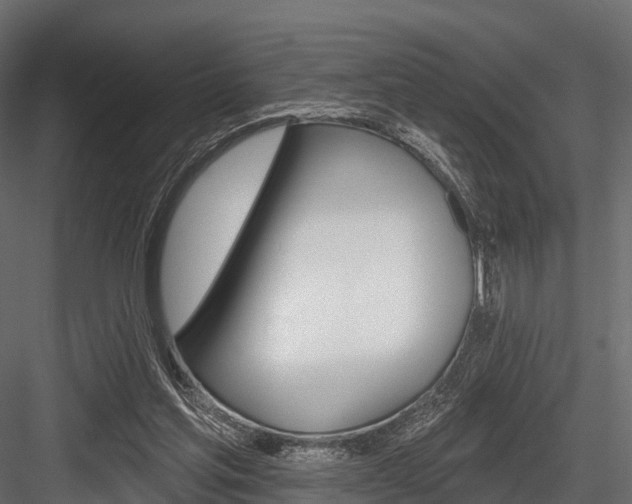 X0000084560205200702231010