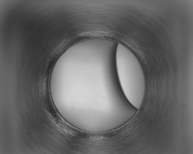 X0000084560206200702231010