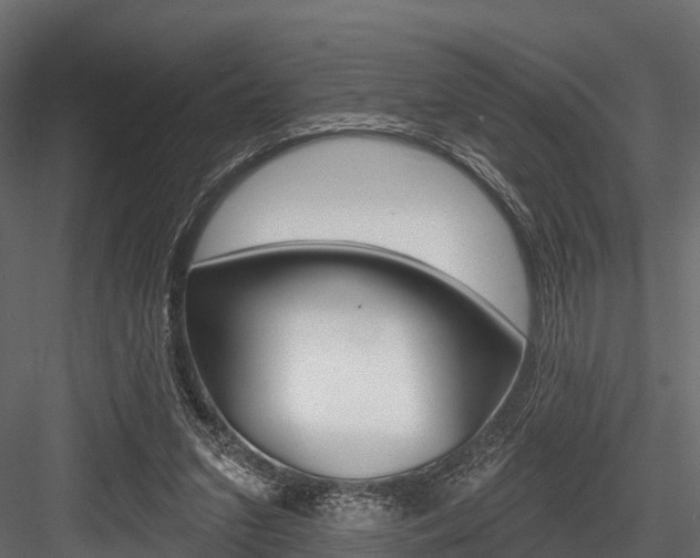X0000084560207200702231010