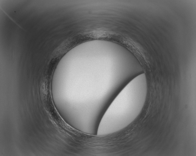 X0000084560210200702231010