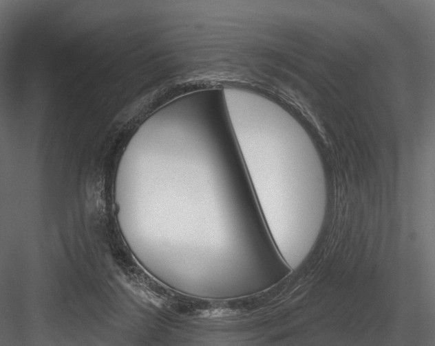 X0000084560212200702231010
