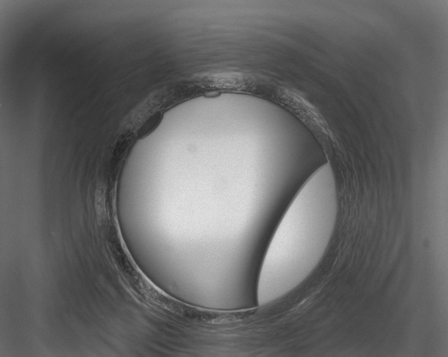 X0000084560213200702231010
