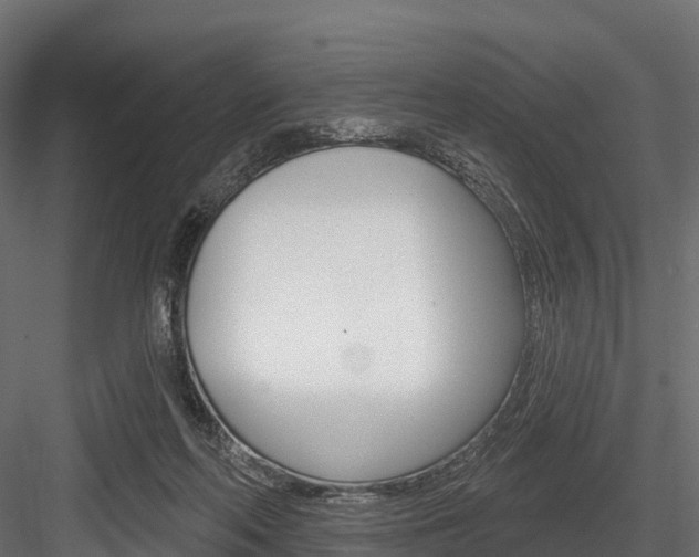 X0000084560214200702231010