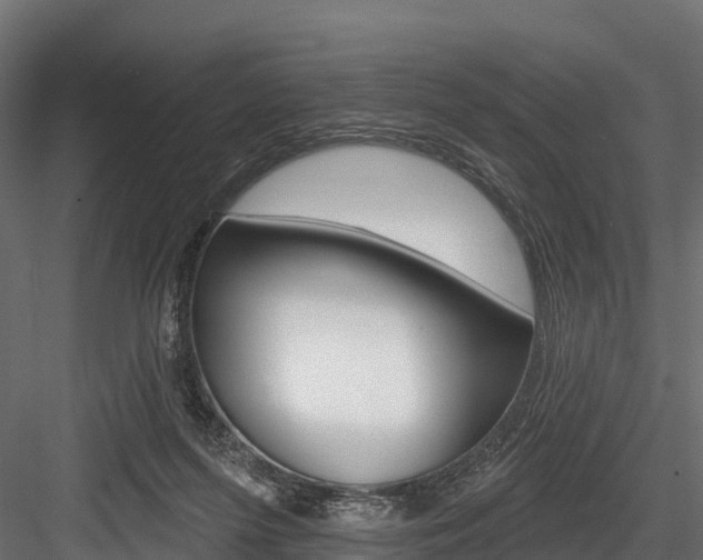 X0000084560215200702231010