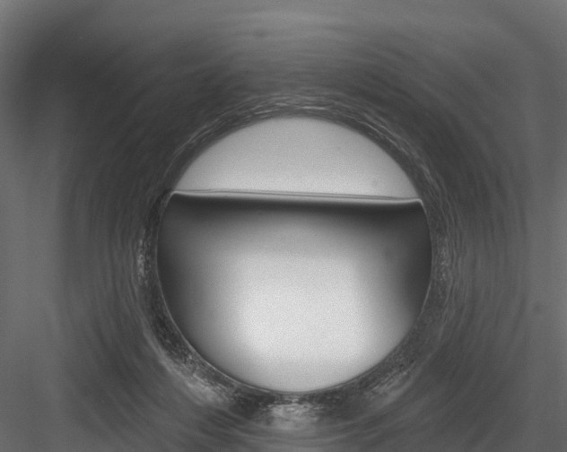 X0000084560216200702231010