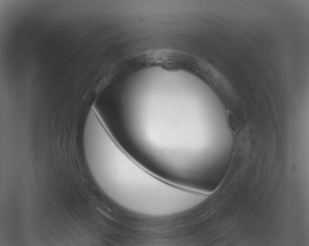X0000084560217200702231010
