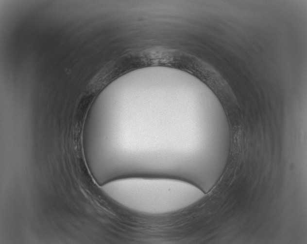 X0000084560218200702231010