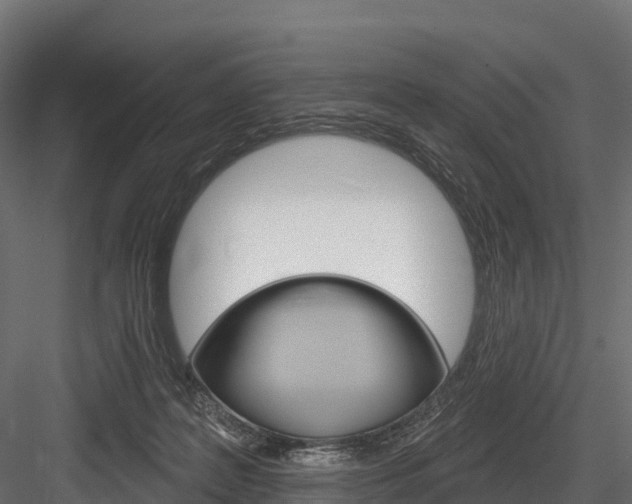 X0000084560219200702231010