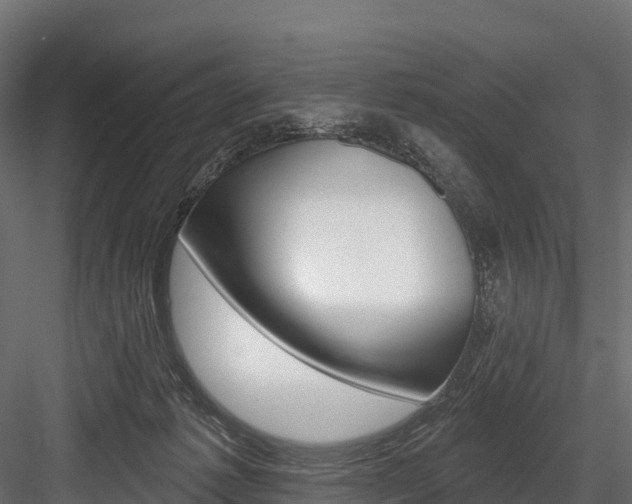 X0000084560221200702231010