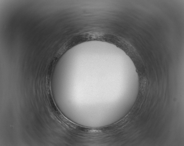 X0000084560222200702231010